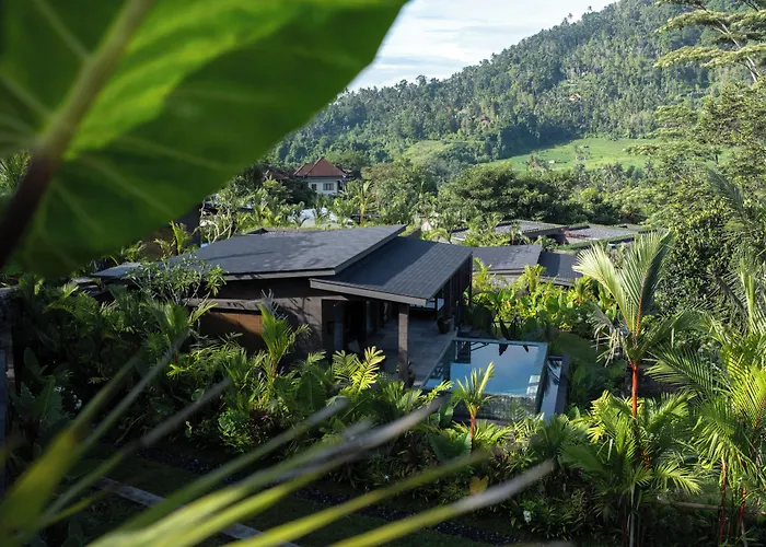 Samanvaya - Adults Only Sidemen (Bali)